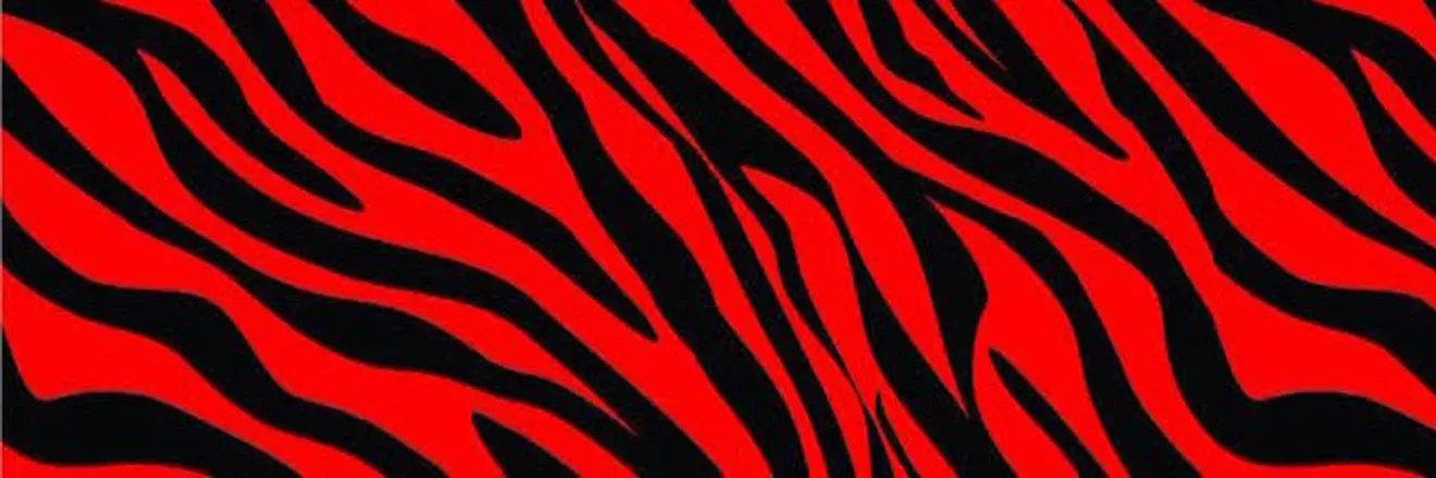 OnlyFans cuenta u100316631 header 2