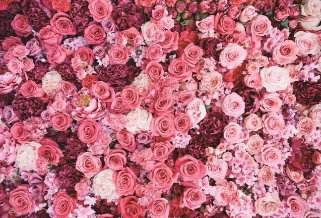 OnlyFans cuenta aisalopez header 2