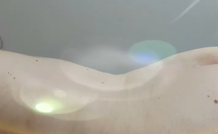OnlyFans cuenta curvy_girl_8 header 2