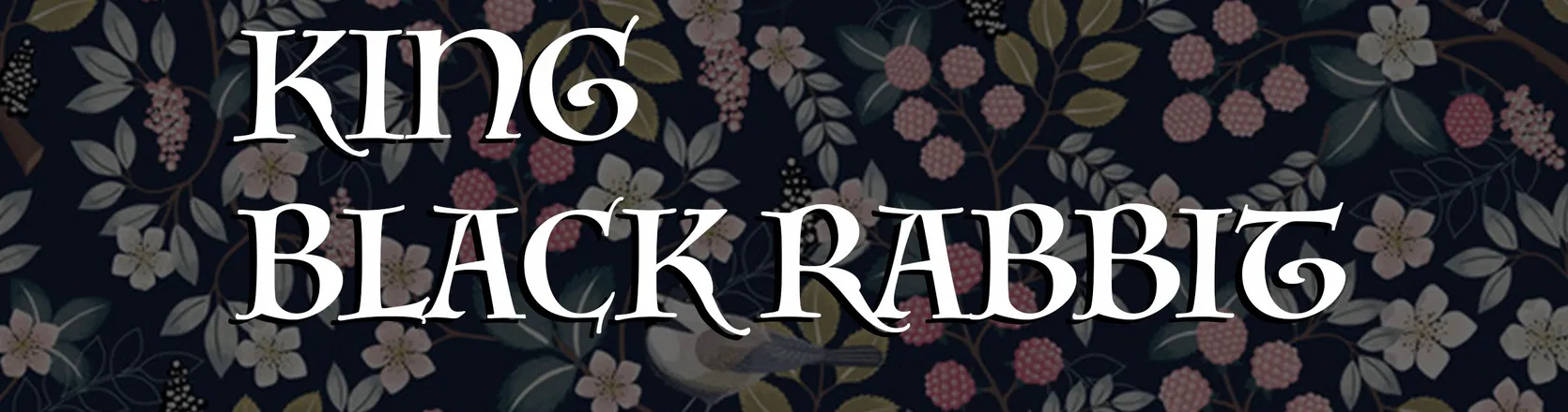 OnlyFans cuenta king_blackrabbit header 2