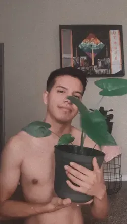 OnlyFans cuenta creativejose avatar 1