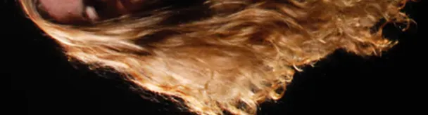 OnlyFans cuenta hairy_fae header 2