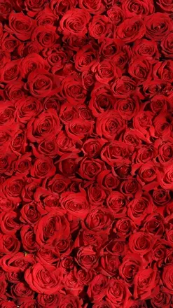 OnlyFans cuenta yleiram7 header 2