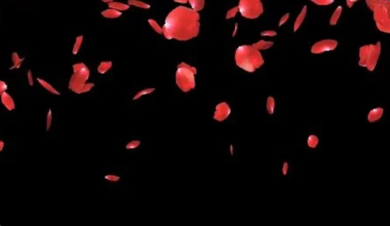 OnlyFans cuenta scarletstorm00 header 2
