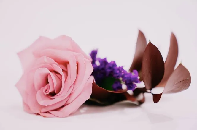 OnlyFans cuenta bridgettedances header 2