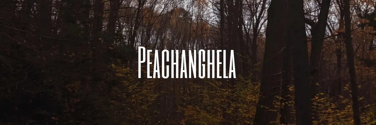 OnlyFans cuenta peachanghela header 2
