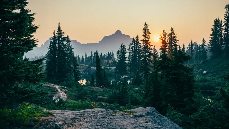OnlyFans account  forestcliff header 2