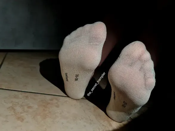 OnlyFans cuenta the_secret_trampler avatar 1