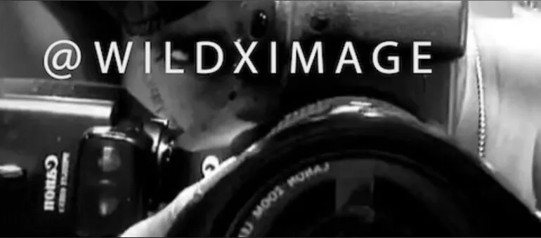OnlyFans cuenta wildximage header 2