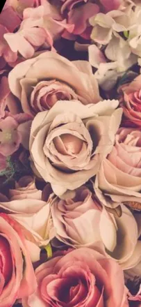 OnlyFans cuenta mara9611 header 2