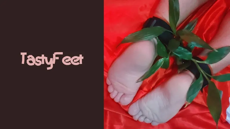 OnlyFans cuenta tastyfeetpic header 2