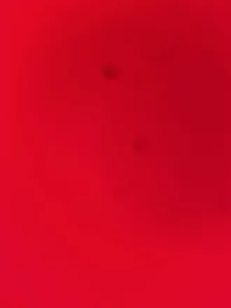OnlyFans cuenta kevengates1990 avatar 1