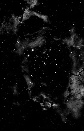 OnlyFans cuenta scarlettejon header 2