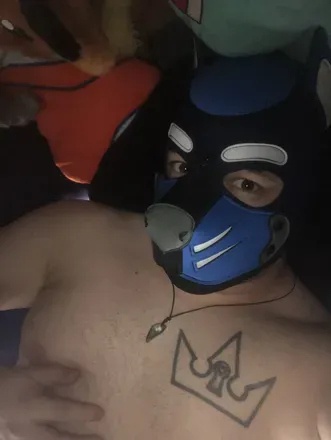 OnlyFans cuenta puckthepup01 avatar 1