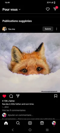 OnlyFans account  rawrfox header 2
