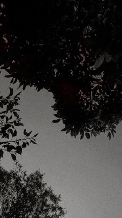 OnlyFans cuenta margot.me header 2