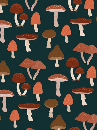 OnlyFans cuenta mooshiemushroom header 2