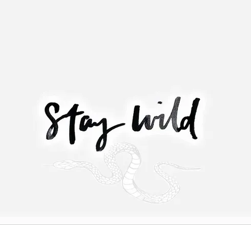 OnlyFans cuenta onewiththewild header 2