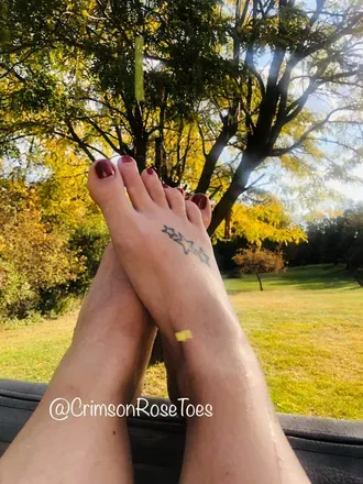 OnlyFans cuenta crimsonrosetoes avatar 1