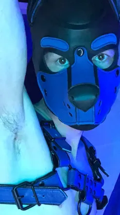 OnlyFans account  pupscrote avatar 1