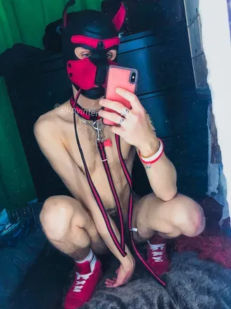 OnlyFans account  pupvinter avatar 1