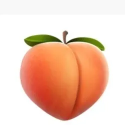 OnlyFans cuenta twerktwerk avatar 1