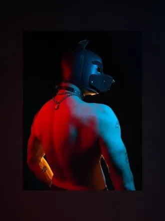 OnlyFans cuenta viper02 avatar 1