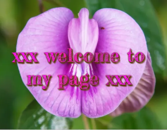 OnlyFans cuenta u187056352 header 2