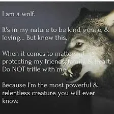 OnlyFans cuenta daddywolf1876 header 2