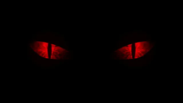 OnlyFans account  evilkittens header 2