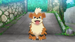 OnlyFans cuenta scrubbygrowlithe header 2