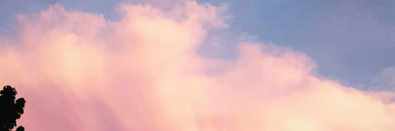 OnlyFans cuenta prestonxxii22 header 1