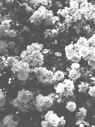 OnlyFans cuenta vanillaqueenwithatwist header 2