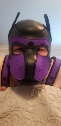 OnlyFans cuenta pupdartskytail avatar 1