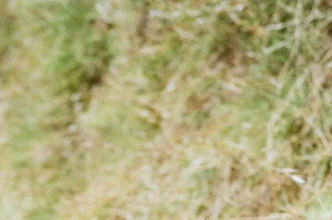 OnlyFans cuenta uncuthungdrum header 2