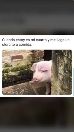 OnlyFans cuenta versatil06 header 2