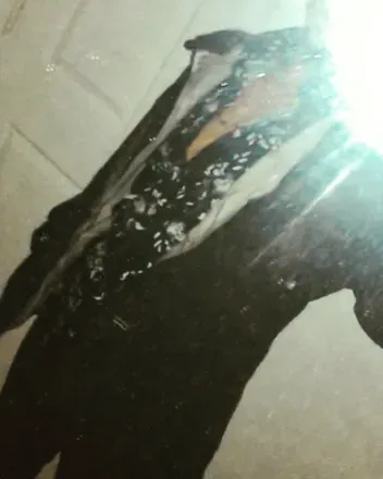OnlyFans cuenta mrgapes avatar 1