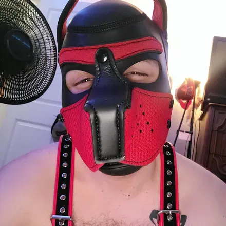 OnlyFans cuenta pup_merlin avatar 1