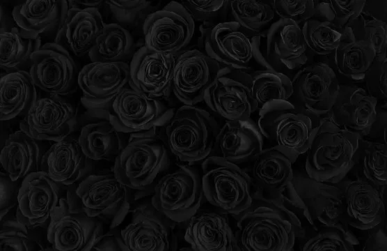 OnlyFans cuenta vivianblacck header 2