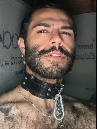 OnlyFans cuenta papi_bear avatar 1