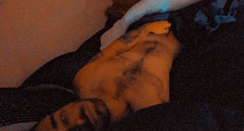 OnlyFans cuenta gimmboe header 2