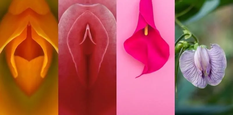 OnlyFans cuenta brandiblossom header 2
