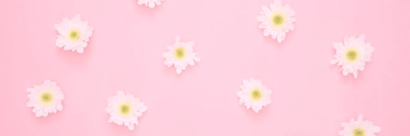 OnlyFans cuenta homewitheliarose header 2