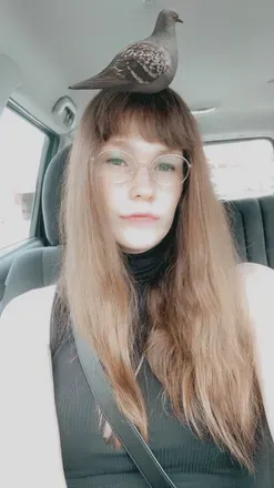 OnlyFans account  miki-tgirl avatar 1