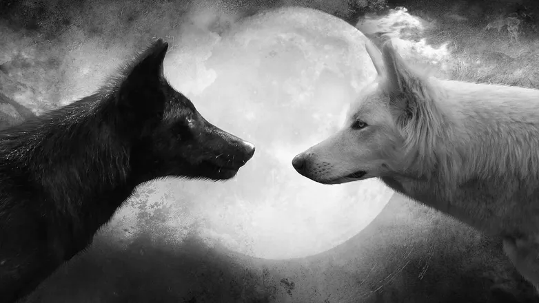 OnlyFans cuenta sasha_snow_queen header 2