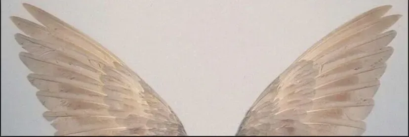 OnlyFans cuenta fionagallagherx3 header 2