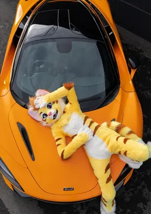 OnlyFans cuenta thatyellowkitty header 2
