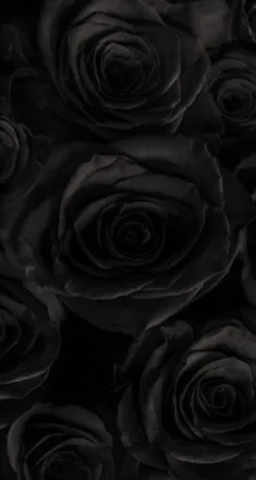 OnlyFans cuenta willa_bea header 1