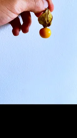 OnlyFans account  marronp header 2