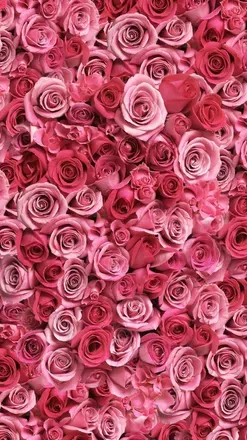 OnlyFans cuenta u116144554 header 2